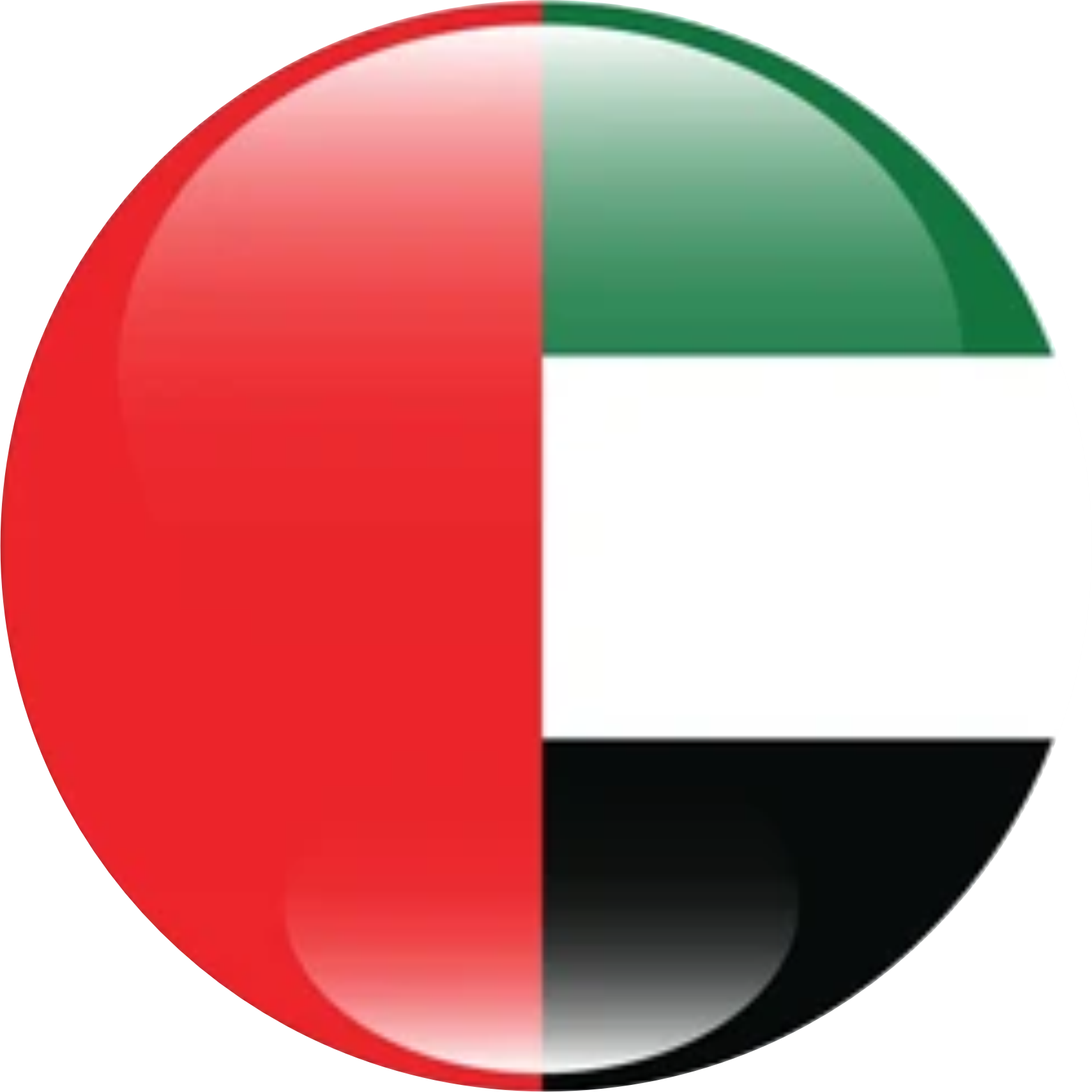 UAE Flag